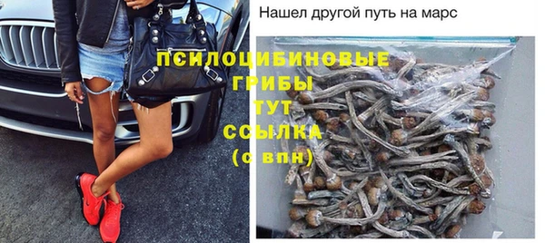 Альфа ПВП Гусь-Хрустальный