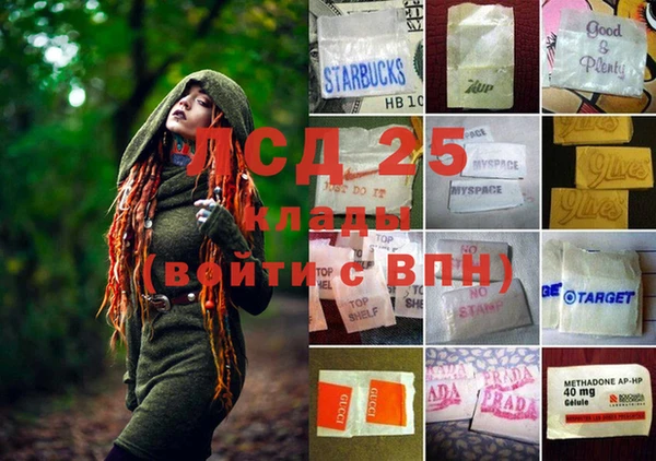 трава Бежецк
