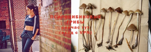 Альфа ПВП Гусь-Хрустальный