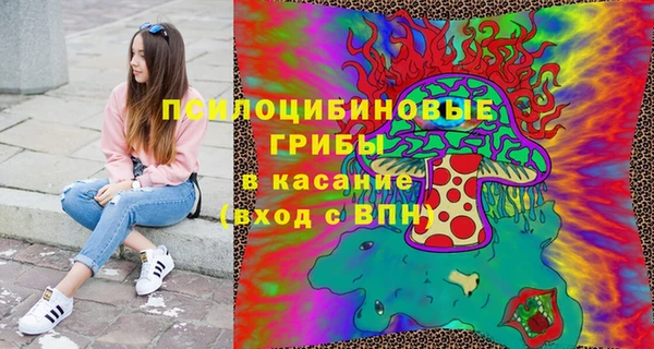 Альфа ПВП Гусь-Хрустальный
