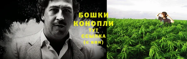 ALPHA-PVP Гусев