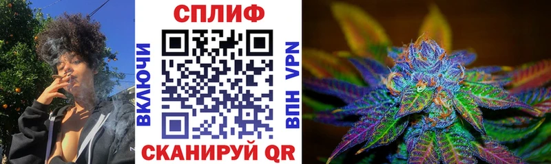 Шишки марихуана планчик Долинск